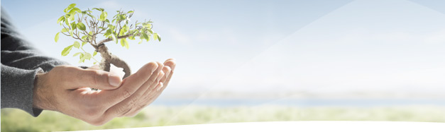 YOR Opportunity Banner