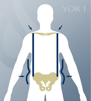 YOR Body Type 1
