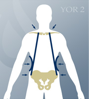 YOR Body Type 2