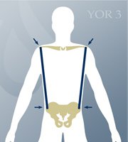 YOR Body Type 3