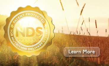 Learn More about YOR NDS