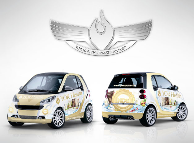 2012 Smart Car Banner