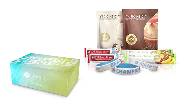 2013 YOR Mini Box Contents