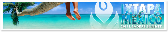 Diamond Maui Banner