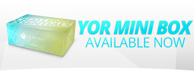 2013 YOR Mini Box
