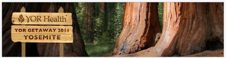 Yosemite Banner