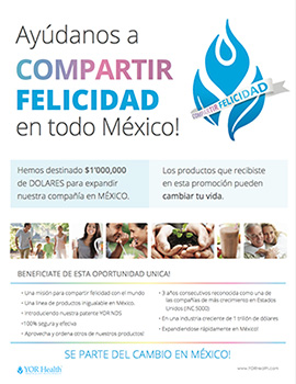 Promo Mexico Flyer