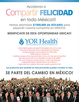 Promo Mexico Flyer
