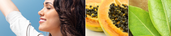 The Power of Enzymes