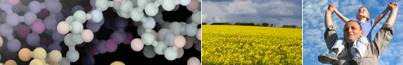 What Are Enzymes?