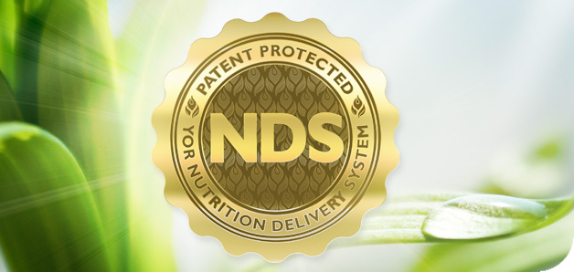 YOR NDS Banner