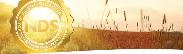 YOR NDS Banner