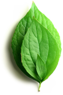Invest in YOR Health