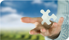 Puzzle Piece